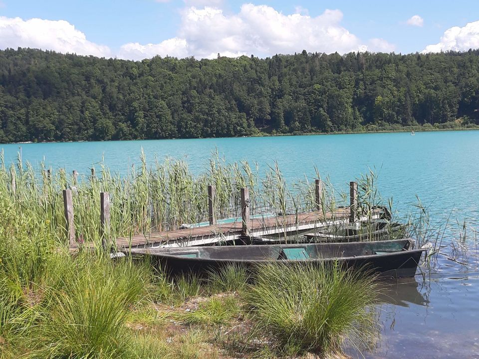 Camping Au Coeur des Vignes - Camping Jura