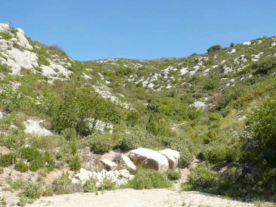 Camping de Puyloubier-Aquadis Loisirs - Camping Bouches-du-Rhône