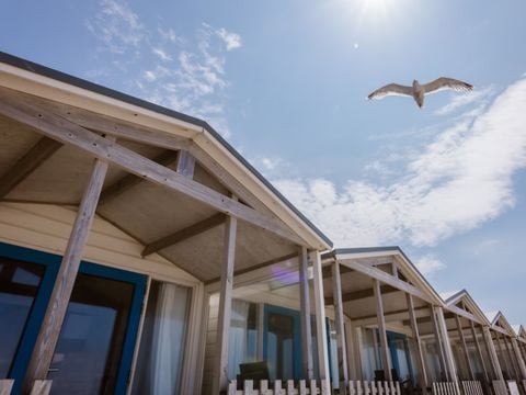 Roompot Strandhuisjes Wijk aan Zee - Camping Beverwijk - Afbeelding N°5