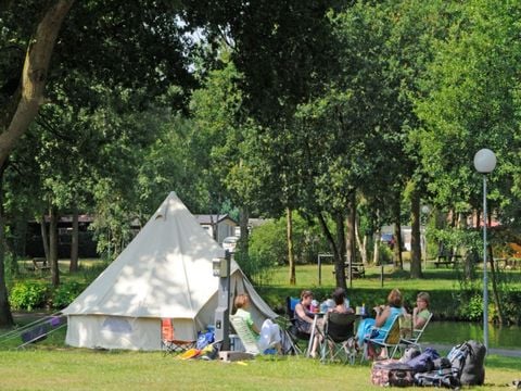 Camping Zavelbos - Camping Belgisch Limburg - Afbeelding N°4