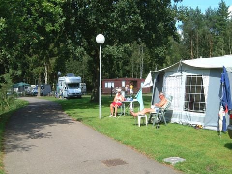 Camping Zavelbos - Camping Belgisch Limburg