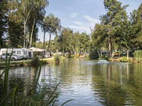 Camping Zavelbos - Camping Belgisch Limburg - Afbeelding N°0