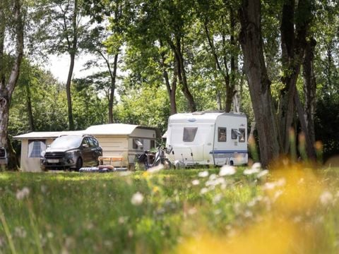 Camping de Binnenvaart - Camping Belgisch Limburg - Afbeelding N°5