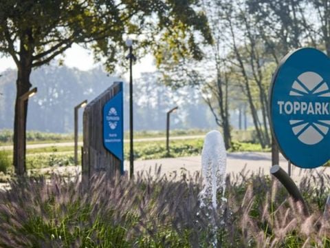 TopParken Resort de Brabantse Kempen - Camping Reusel-De-Mierden - Afbeelding N°4