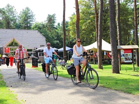 Camping Kempen - Camping West-Vlaanderen