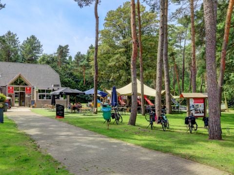 Camping Kempen - Camping West-Vlaanderen - Afbeelding N°2