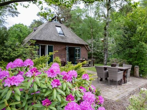 Landgoed Het Grote Zand - Camping Midden-Drenthe - Afbeelding N°3