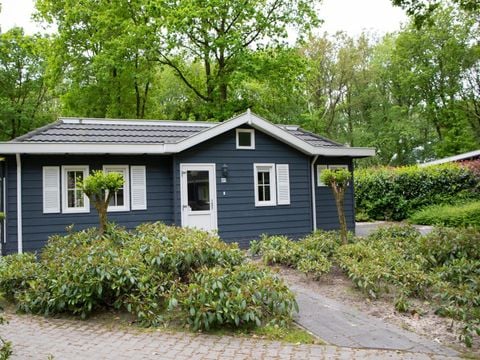 Landgoed Het Grote Zand - Camping Midden-Drenthe - Afbeelding N°4