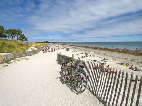 Camping Le Bois d'Amour - Camping Finistère