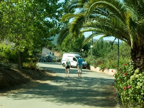 Camping La Liscia  - Camping Zuid-corsica - Afbeelding N°5