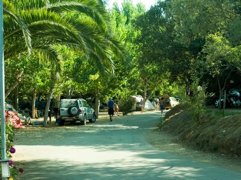 Camping La Liscia  - Camping Zuid-corsica - Afbeelding N°2