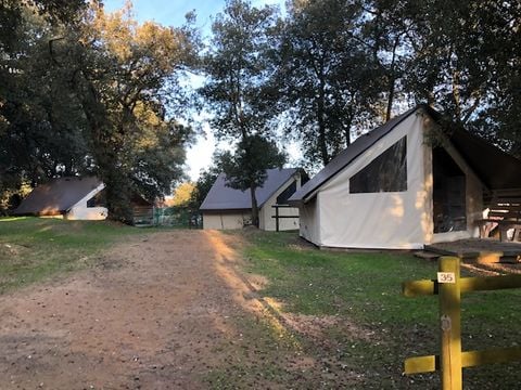 Camping Le Bosquet - Camping Vendée - Afbeelding N°4