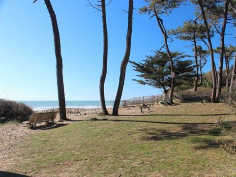 Camping Le Bosquet - Camping Vendée - Afbeelding N°5