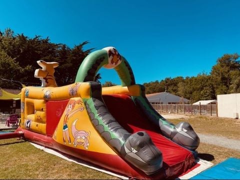 Ternélia La Caillebotière - Camping Vendée - Afbeelding N°2