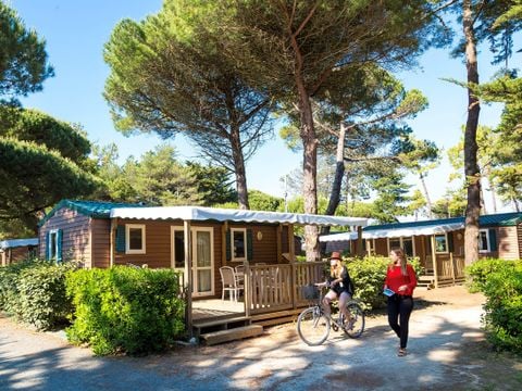 FLOWER Camping Tamarins Plage - Camping Charente-Maritime - Afbeelding N°3