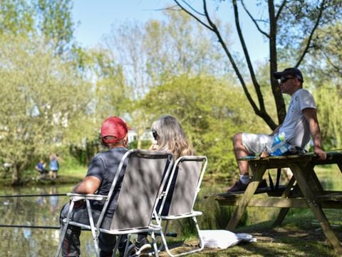 Camping Paradis - Domaine de Bellevue - Camping Vendée - Afbeelding N°2