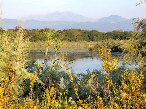 Bagheera Camping Naturiste - Camping Noord-corsica