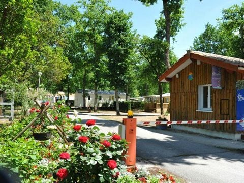 Flower Camping la Canadienne - Camping Gironde - Afbeelding N°4