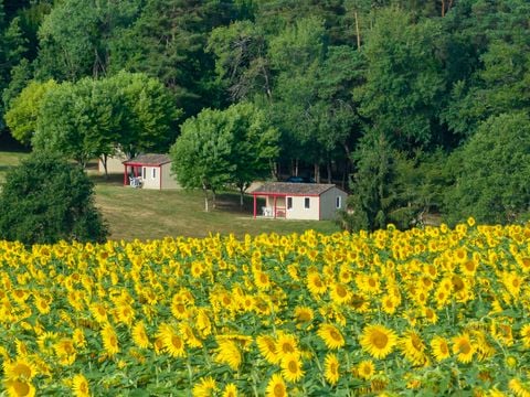 La Forêt Enchantée - Camping Dordogne - Afbeelding N°4