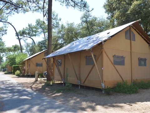 Camping Les Pins d'Oléron  - Camping Charente-Maritime - Afbeelding N°4