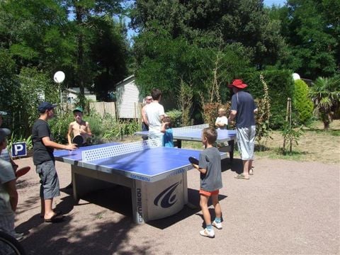 Camping Le Sous Bois - Camping Charente-Maritime - Afbeelding N°3