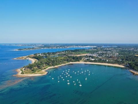 Camping Paradis - Les Palmiers - Camping Morbihan - Afbeelding N°5