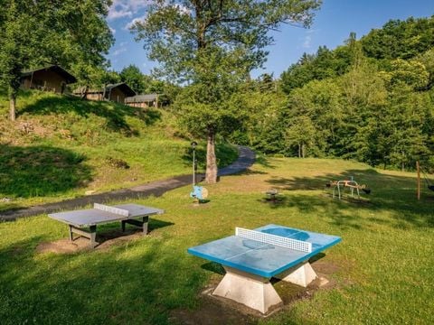 Camping l'Ardéchois - Camping Ardèche - Afbeelding N°5