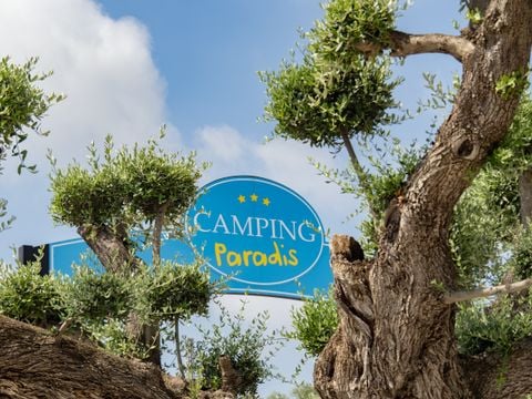 Camping L'Orangeraie - Camping Paradis - Camping Castellón - Afbeelding N°4