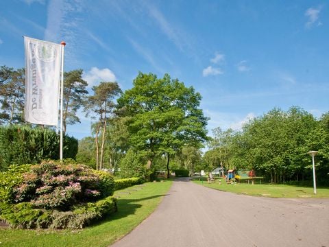 Camping de Wrange - Camping Doetinchem - Afbeelding N°3