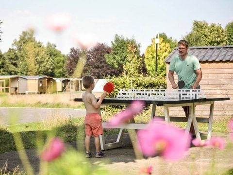 Camping Le Florenville - Camping Belgisch-Luxemburg - Afbeelding N°5