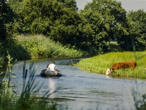 Vakantiepark Mölke - Camping Wierden - Afbeelding N°5