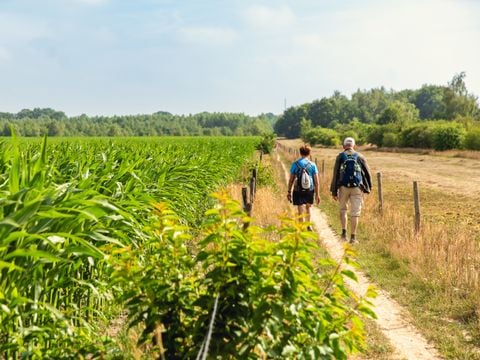 Vakantiepark Mölke - Camping Wierden - Afbeelding N°3