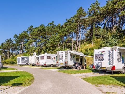 Roompot Kustpark Egmond aan Zee - Camping Bergen - Afbeelding N°3