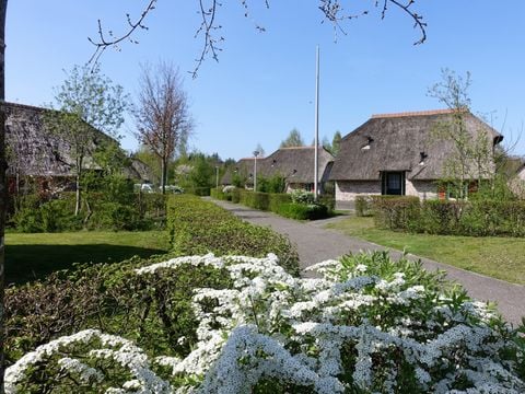 Vakantiepark De Lourenshoeve - Camping Twenterand - Afbeelding N°0