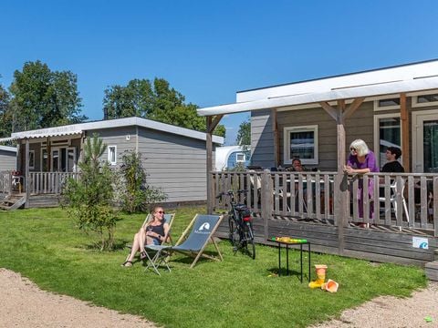 Molecaten Park Rondeweibos - Camping Westvoorne - Afbeelding N°2