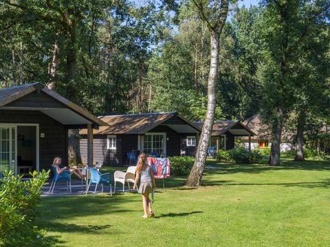 Molecaten Park De Leemkule - Camping Hattem - Afbeelding N°2