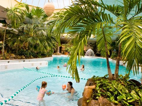 Center Parcs Limburgse Peel - Camping Horst aan de Maas - Afbeelding N°2