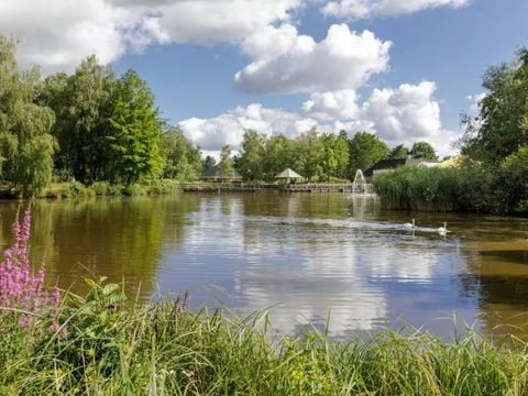 Center Parcs Limburgse Peel - Camping Horst aan de Maas