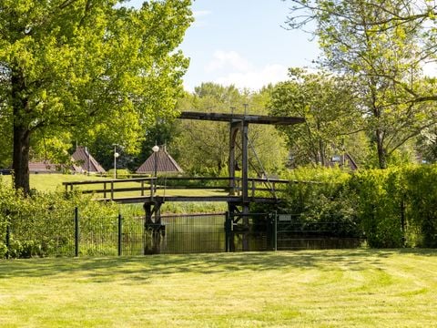 Summio Vakantiepark It Wiid - Camping Tietjerksteradeel - Afbeelding N°5