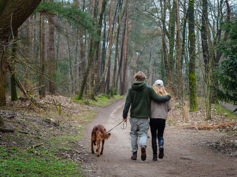 Buitenplaats Holten - Camping Rijssen-Holten - Afbeelding N°0