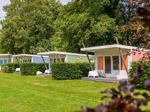 Molecaten Park De Koerberg - Camping Heerde - Afbeelding N°3