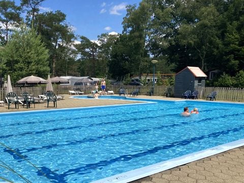 Molecaten Park De Koerberg - Camping Heerde - Afbeelding N°0