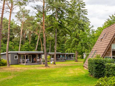 Molecaten Park De Koerberg - Camping Heerde - Afbeelding N°2