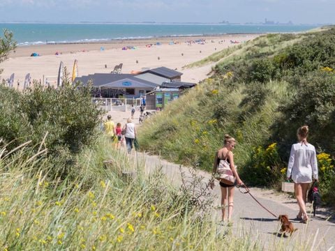 Molecaten Park Hoogduin - Camping Cadzand