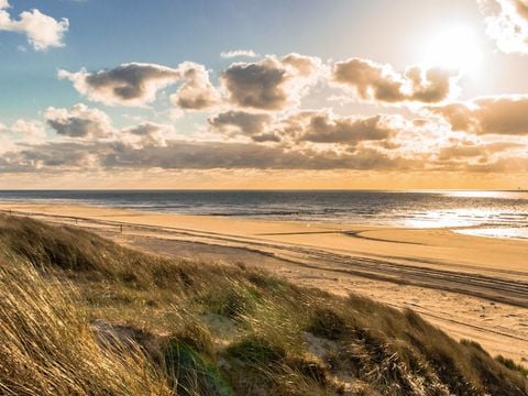 Landal Schuttersbos - Camping Terschelling