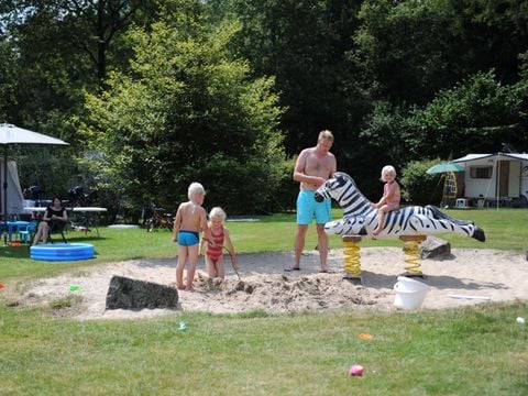 Veluwecamping 't Schinkel - Camping Apeldoorn - Afbeelding N°4