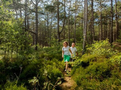 Landal West Terschelling - Camping Terschelling - Afbeelding N°3