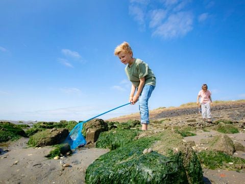 Landal West Terschelling - Camping Terschelling - Afbeelding N°2