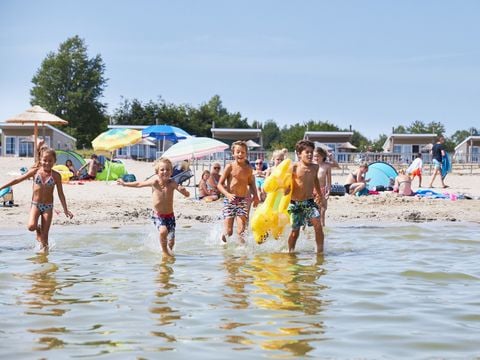 RCN Vakantiepark Zeewolde - Camping Zeewolde - Afbeelding N°3