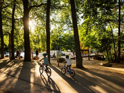 RCN Vakantiepark het Grote Bos - Camping Utrechtse Heuvelrug - Afbeelding N°0